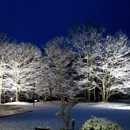 Azumino Hotaka View Hotel Zewnętrze zdjęcie